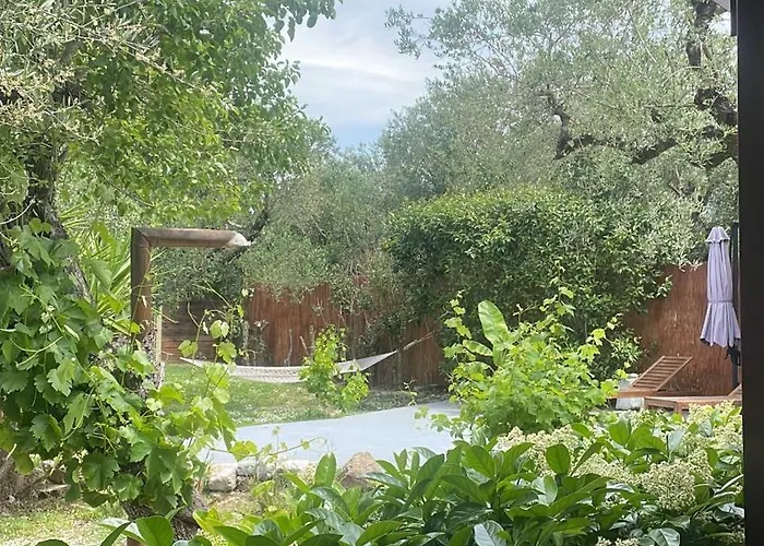 Vartan's Summer House