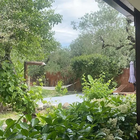 Vartan's Summer House